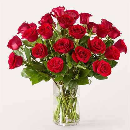 The One Red Rose Bouquet –  Flowers By Roger Inc, Middletown OH