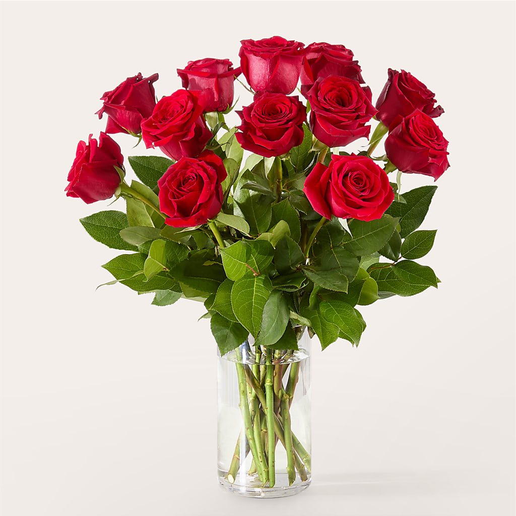 The One Red Rose Bouquet –  Flowers By Roger Inc, Middletown OH