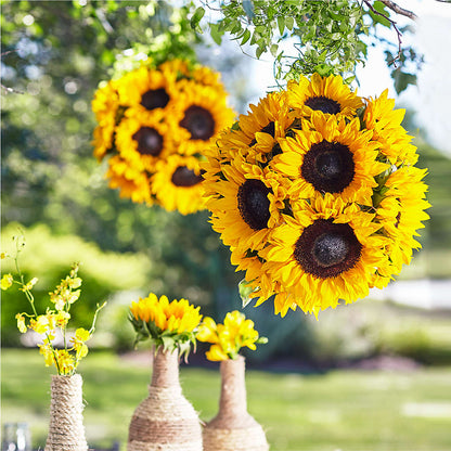 Sublime Garden Hanging Arrangement –  Flowers By Roger Inc, Middletown OH
