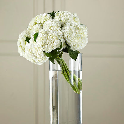 White Hydrangea Hand-Tied Bouquet –  Flowers By Roger Inc, Middletown OH