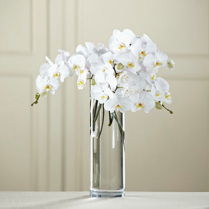 White Phalaenopsis Bouquet –  Flowers By Roger Inc, Middletown OH