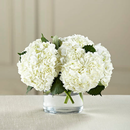 White Hydrangea Bouquet –  Flowers By Roger Inc, Middletown OH